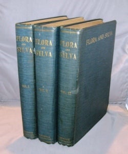 Item #25819 Flora and Sylva. A Monthly Review for Lovers of Garden, Woodland. Tree or Flower;...